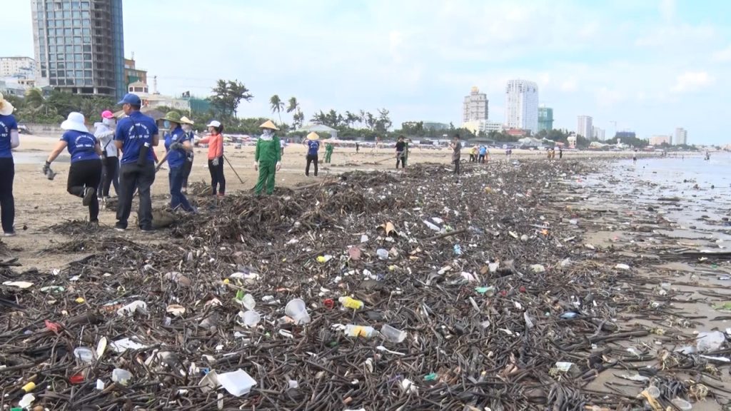 Describe a time when you saw a lot of plastic waste - Beach