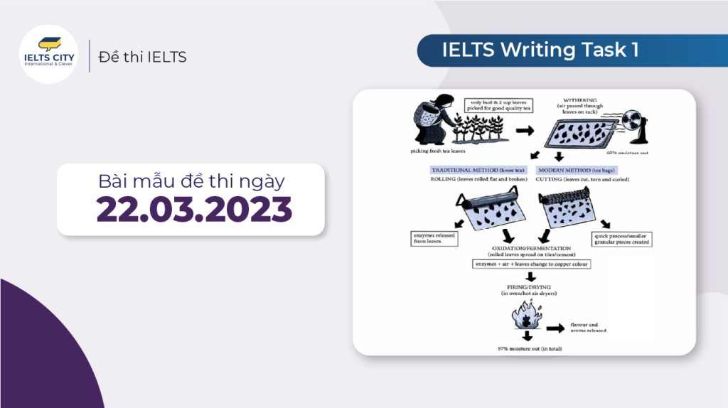 Bài mẫu đề thi IELTS Writing Task 1 ngày 22.03.2023 dạng process