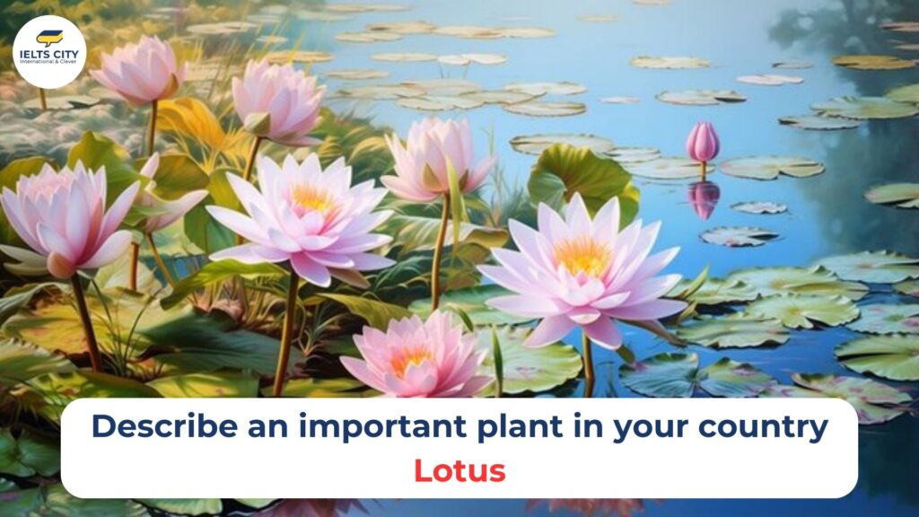 Describe an important plant in your country - lotus