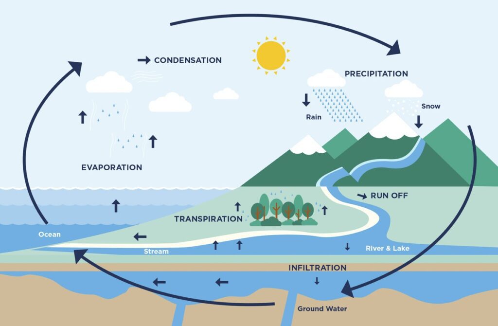 Dạng Natural Process IELTS Writing Task 1