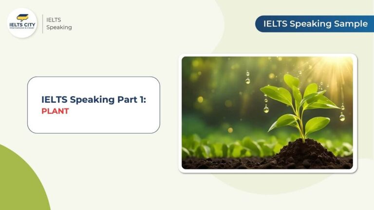 Bài mẫu IELTS Speaking Part 1 chủ đề Plants