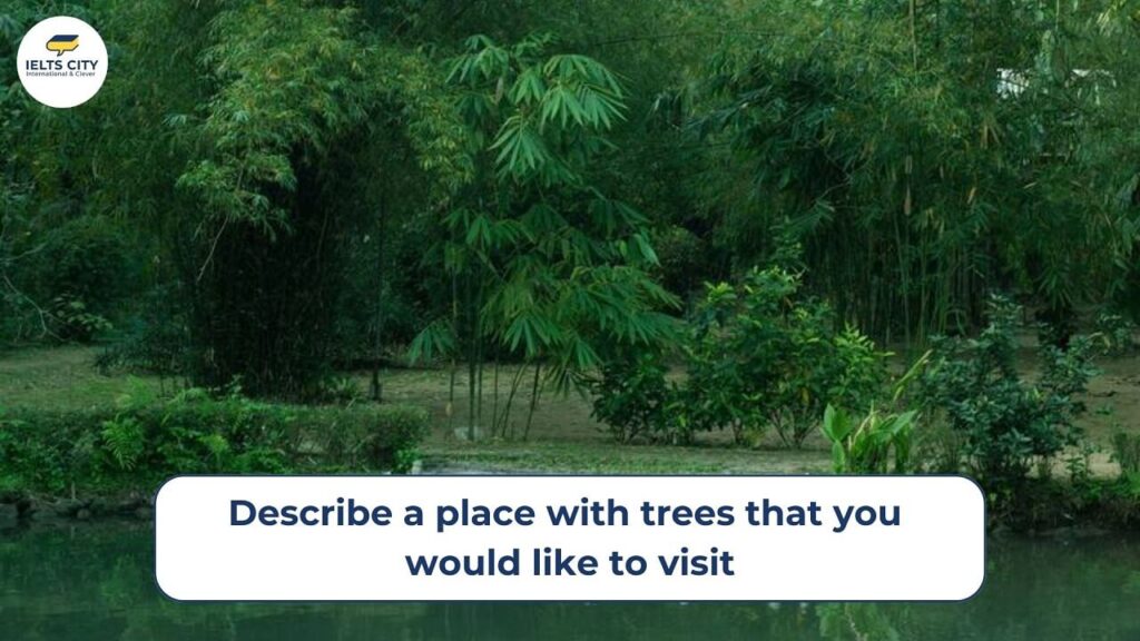 Bài mẫu Describe a place with trees that you would like to visit - IELTS Speaking Part 2