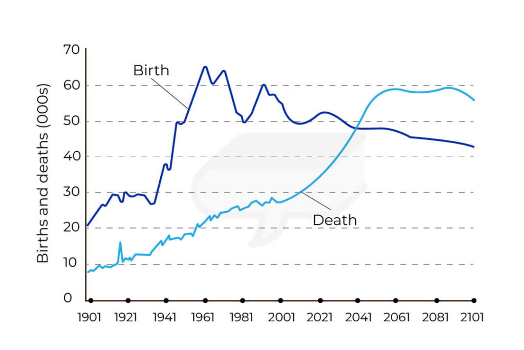 The graph below gives information about changes in the birth and death rates in New Zealand between 1901 and 2101. Summarize the information by selecting and reporting the main points and make comparisons where relevant.