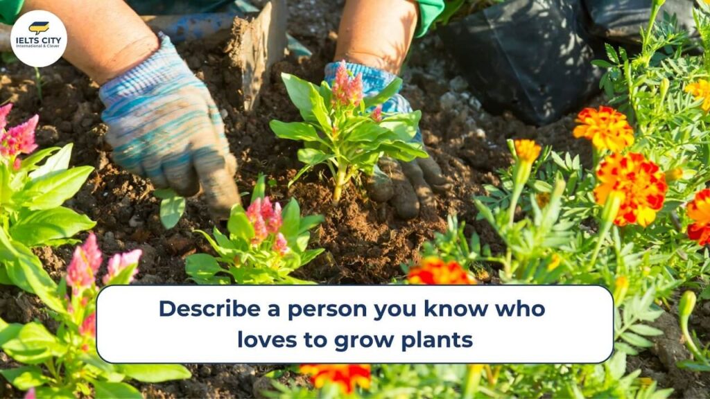 Describe a person you know who loves to grow plants - Bài mẫu IELTS Speaking Part 2