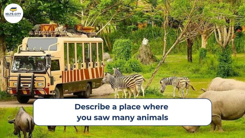 Describe a place where you saw many animals
