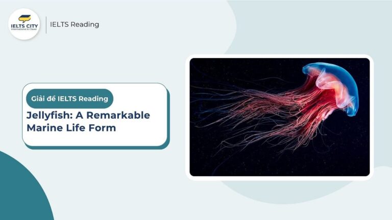 Jellyfish: A remarkable marine life form