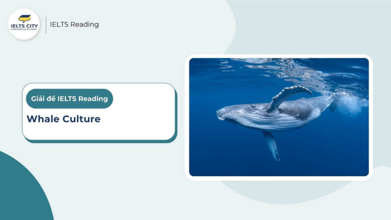 Whale Culture - IELTS Reading