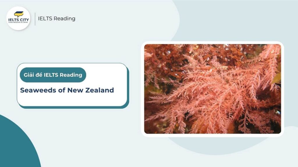 Seaweeds of New Zealand - IELTS Reading