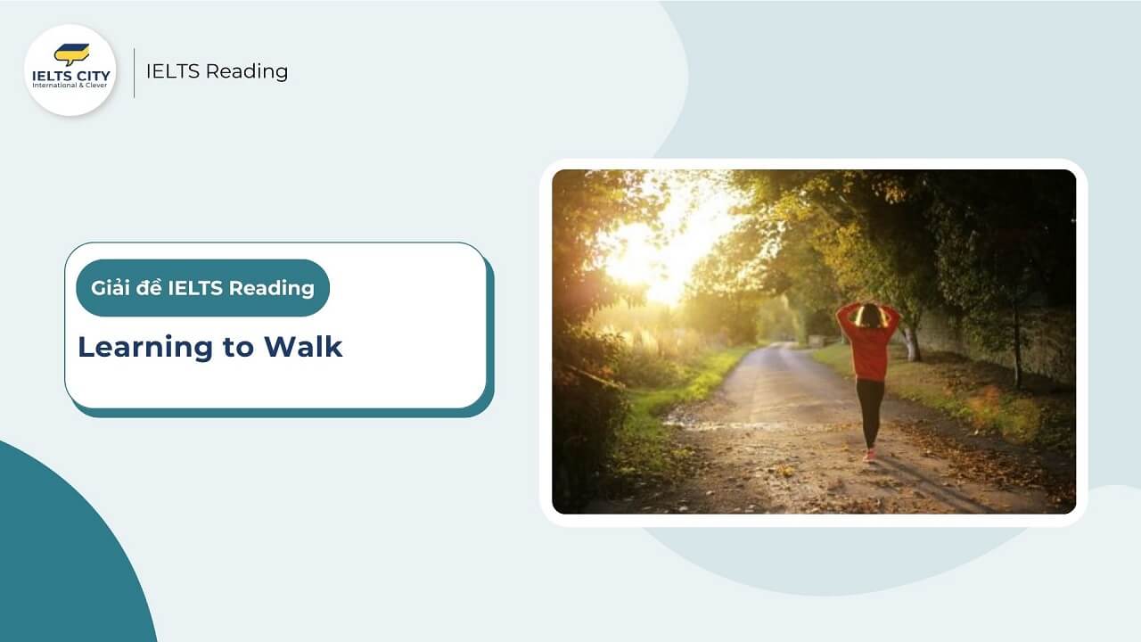 [Đáp án IELTS Reading] Learning to Walk (Giải thích chi tiết)