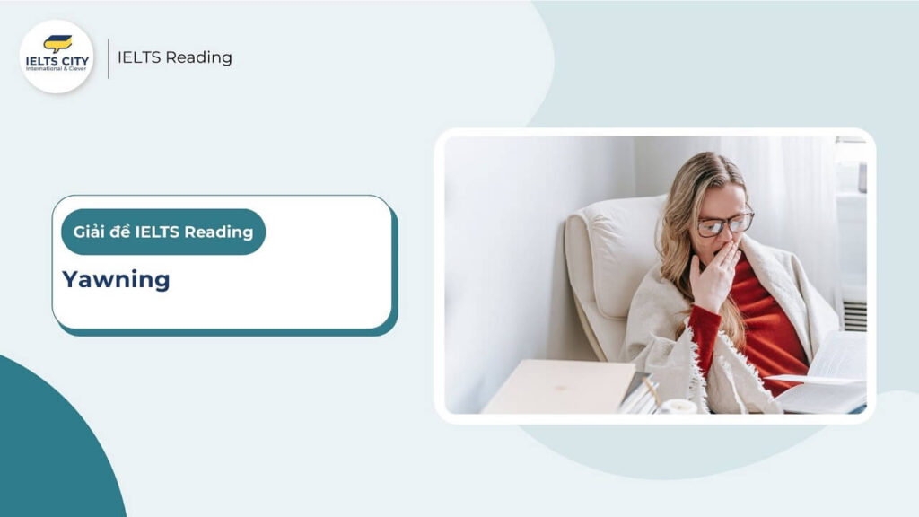 Yawning IELTS Reading